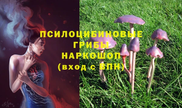 соль ск Алзамай