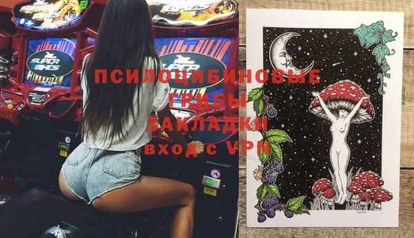 дмт Алексин