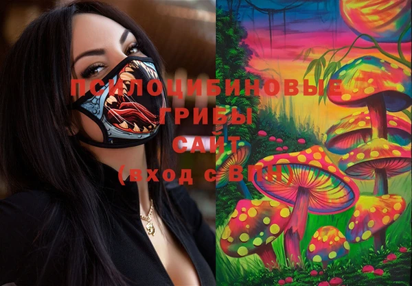 ПСИЛОЦИБИНОВЫЕ ГРИБЫ Нея